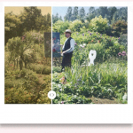 MyHeritage In Color™ wurde erweitert und stellt verblasste Farbfotos mithilfe der von DeOldify lizenzierten AI-Technologie auf wundervolle Weise wieder her.